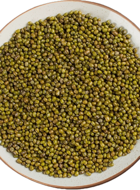 西北小院新货可发芽500g包邮绿豆