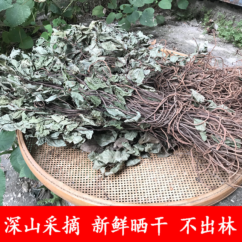 不出林 紫金牛 矮地茶 平地木 叶底珠 叶下红 500g干货洗澡中药材