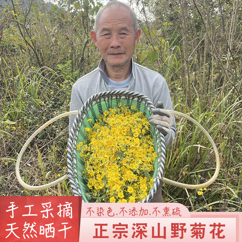 广东深山新货野菊花泡茶中药材