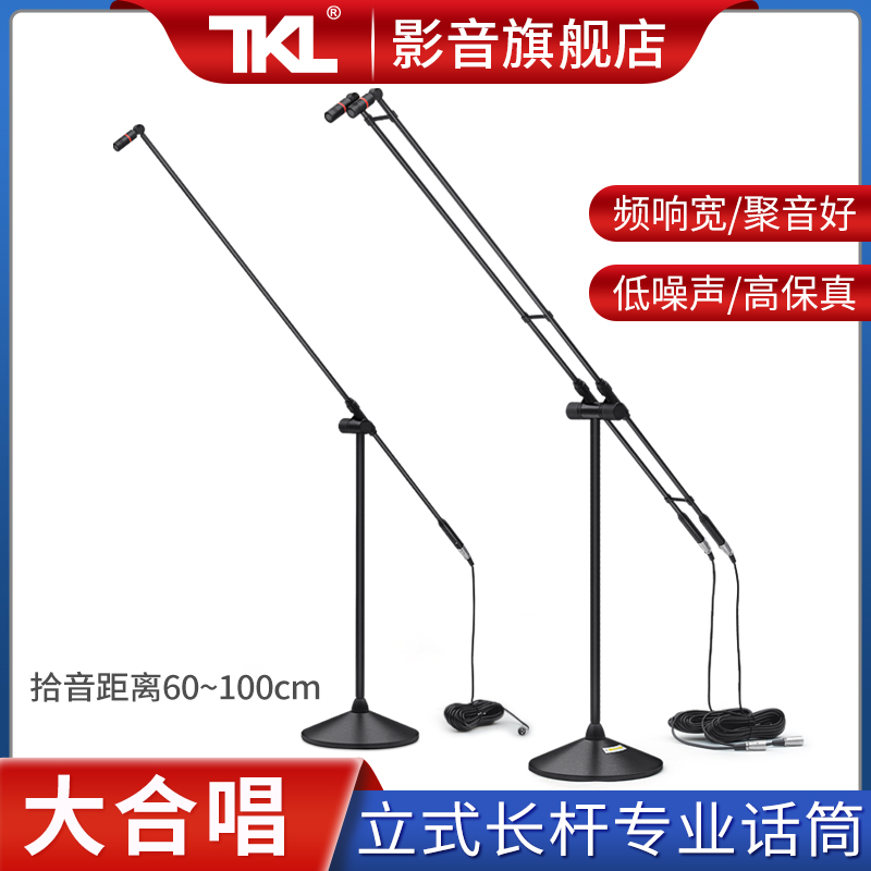 TKL T-601A双杆话筒电容麦克风立式专业舞大合唱演出主持人
