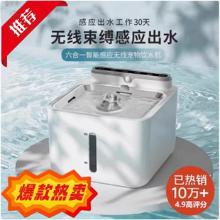 2025新款 智能猫咪饮水机自动循环无线大容量恒温加热宠物喝水神器