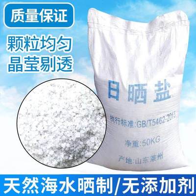 精制工业盐50公斤细盐氯化钠水处理锅炉软水盐日晒盐除冰融雪剂