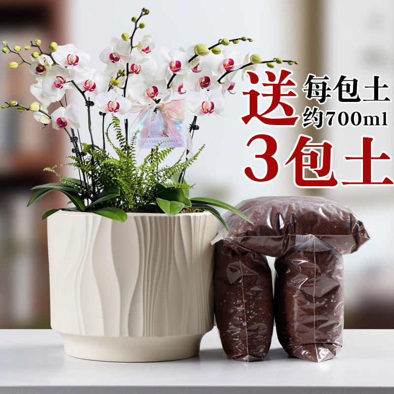 北欧简约花盆陶瓷家用带托特大蝴蝶兰专用送土虎皮兰绿萝多肉绿植,鲜花速递/花卉仿真/绿植园艺,花盆,淘宝优惠券,粉丝福利购,淘宝优惠卷