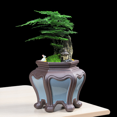 创意中国风复古花盆陶瓷哥窑兰花吊兰盆紫砂四方高脚盆景盆栽中号