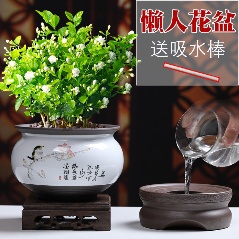 自动吸水陶瓷清仓文竹懒人花盆图片