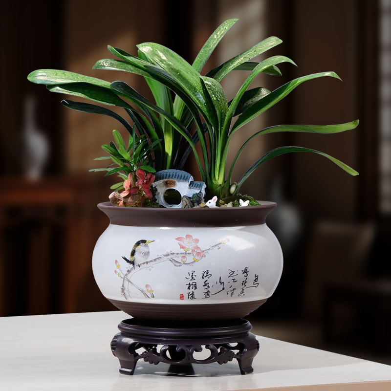 自动吸水陶瓷清仓文竹懒人花盆