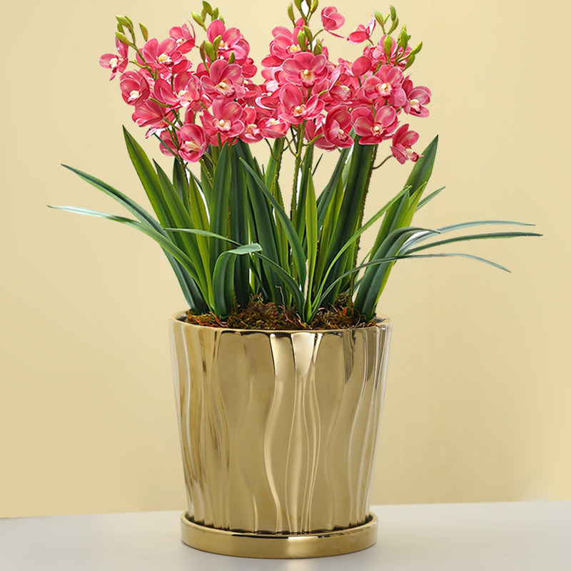 欧式简约陶瓷镀金工艺花盆大号特大轻奢家用兰花君子兰带托盘特价