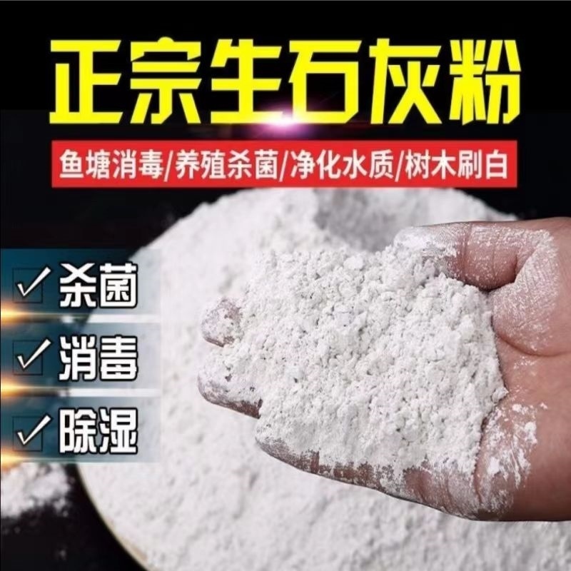 鱼塘消毒果树防虫农用种菜地用的蚕用高纯度生石灰粉杀虫种菜专用 洗护清洁剂/卫生巾/纸/香薰 干燥剂/除湿用品 原图主图