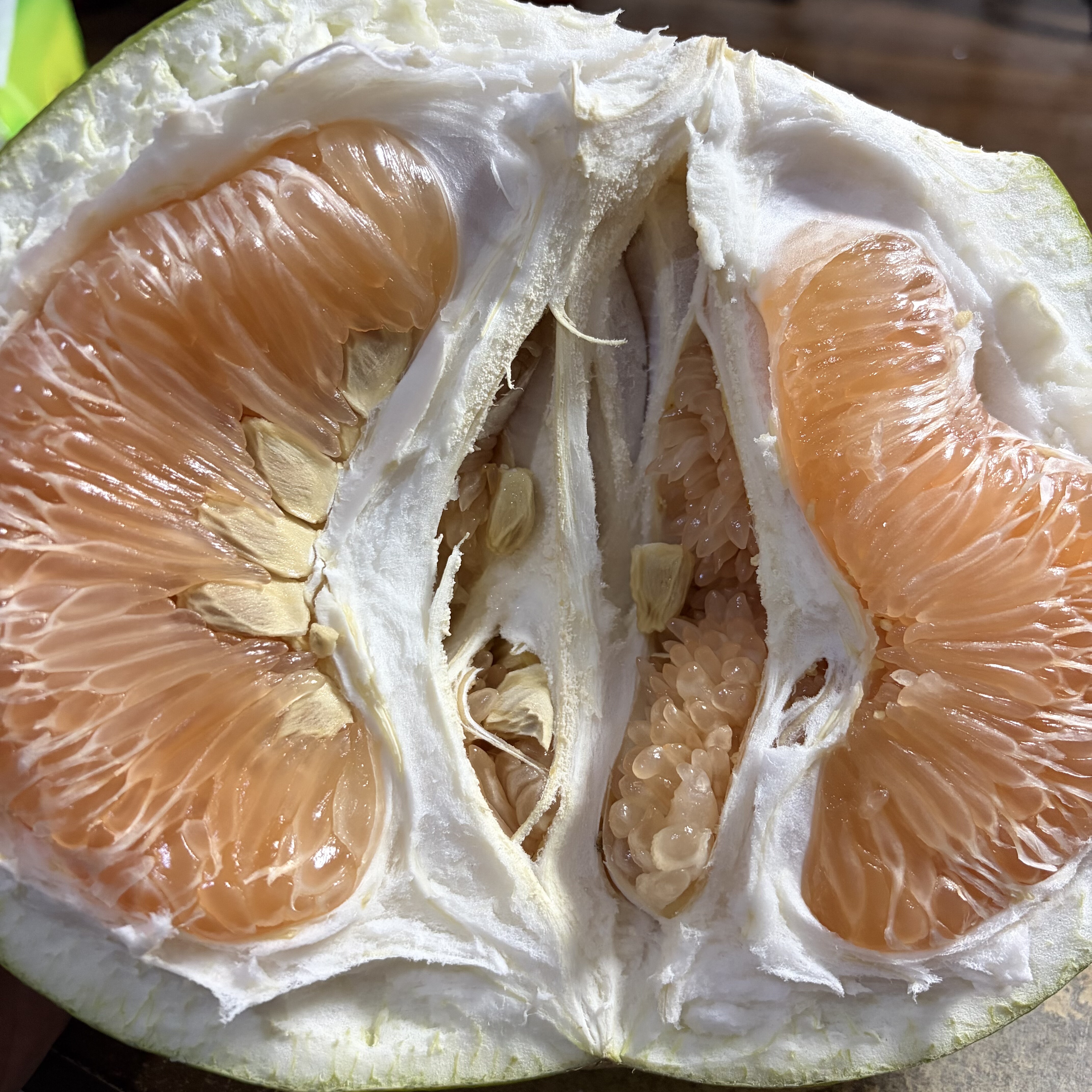代买中江柚超大果单果重量五斤左右