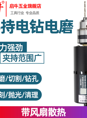 启牛775迷你微型手电钻多功能钻孔机家用小型电磨机小电钻打磨机