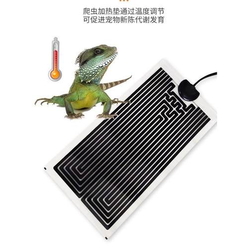 爬行动物宠物石墨烯加热垫爬行动物睫毛角壁虎蛇鬃狮蜥蜴斗鱼龟养
