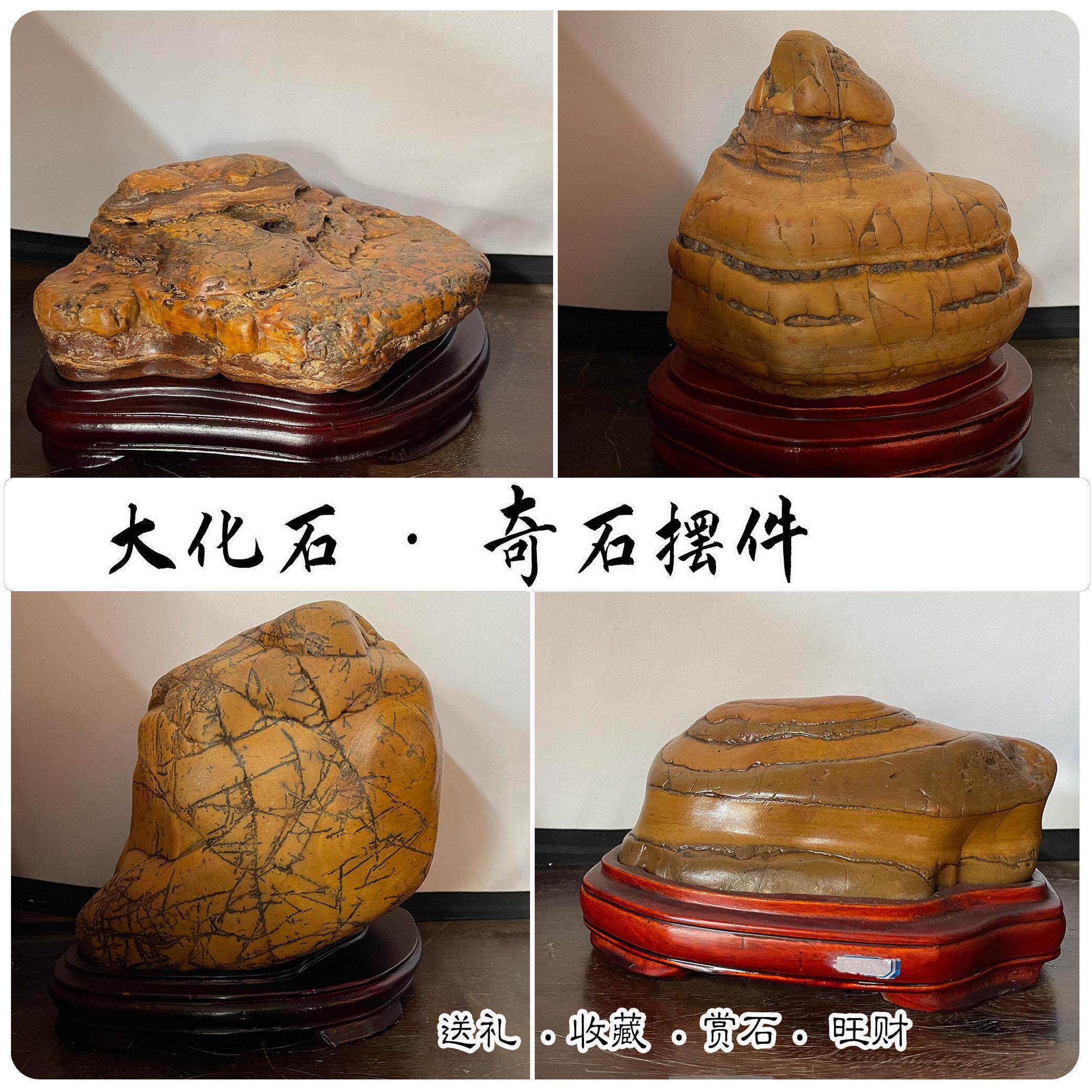 大化石奇石天然原石开运石大湾石观赏奇石玄关书房办公室摆件石头