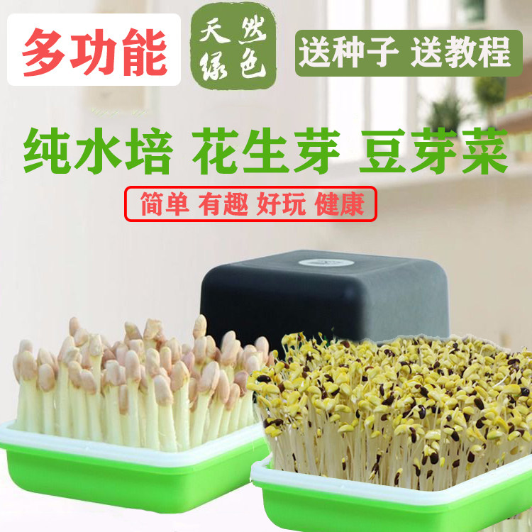 种花生芽水培盒种植盘发芽神器生花生苗水培箱家用育苗盘