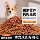 狗粮全阶通用型5斤10斤20斤装 成犬幼犬泰迪拉布拉多金毛土狗家狗