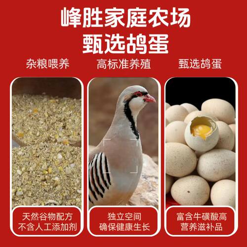 纯粮散养鹧鸪蛋飞龙蛋30枚现产现发无抗无激非鸽子蛋