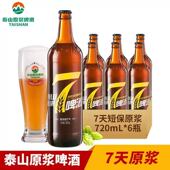 6瓶整箱德国工艺 泰山原浆啤酒7天鲜精酿720ml 厂家授权