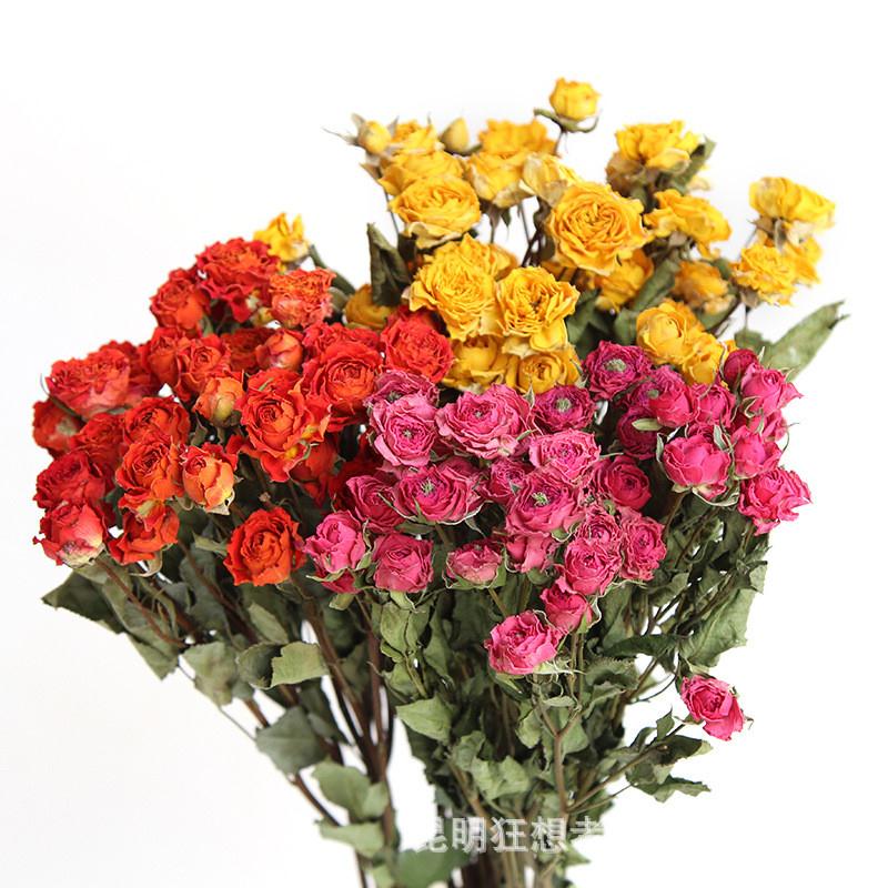 狂想者厂家香薰蜡烛专用ins森系玫瑰干花束手工DIY干花材料