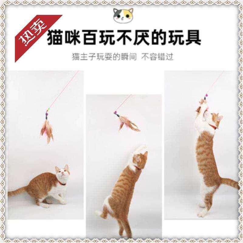 小猫猫玩具逗猫棒啃咬可弯曲防挠家具粉色小铃铛宠物韧性耐咬成猫 宠物/宠物食品及用品 逗猫棒 原图主图