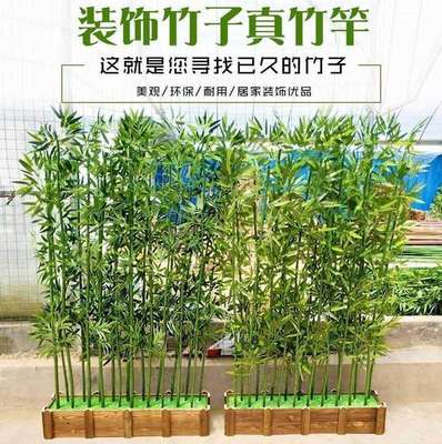 假竹子仿真植物室内装修别墅大型商场家居装饰公司摆放农家乐栅栏