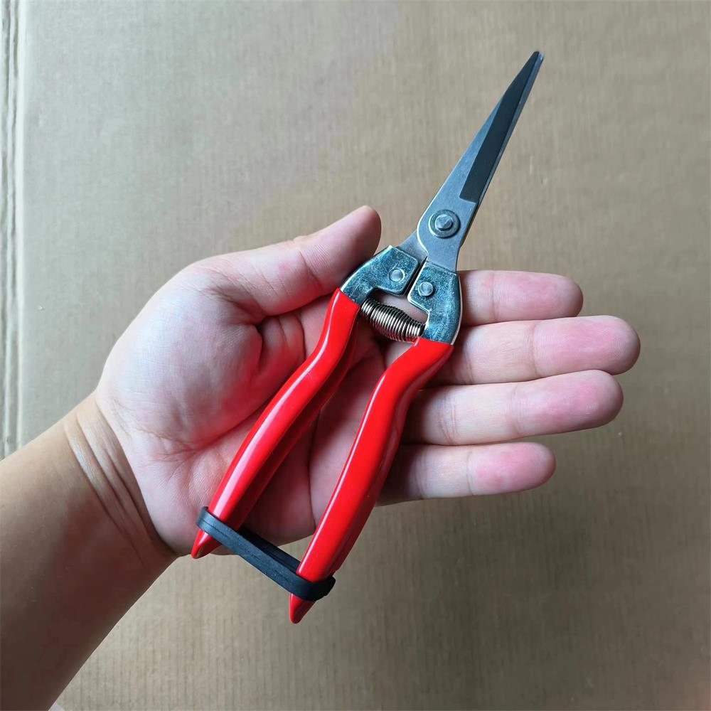 葡萄剪刀采果桔子蔬果剪修枝摘果剪果树剪采摘剪子摘水果工具神器