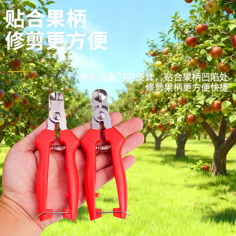 不锈钢苹果窝子园艺修枝剪刀