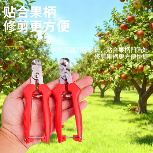 不锈钢苹果窝子园艺修枝剪刀