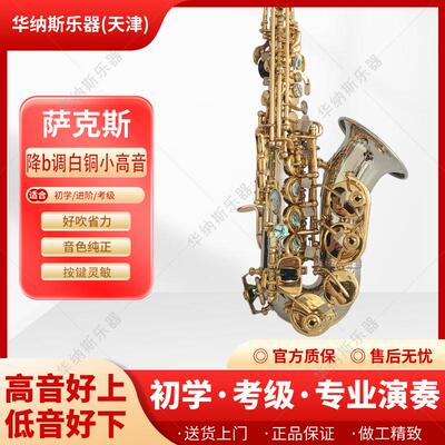 原装新款萨克斯风降e调双筋加固