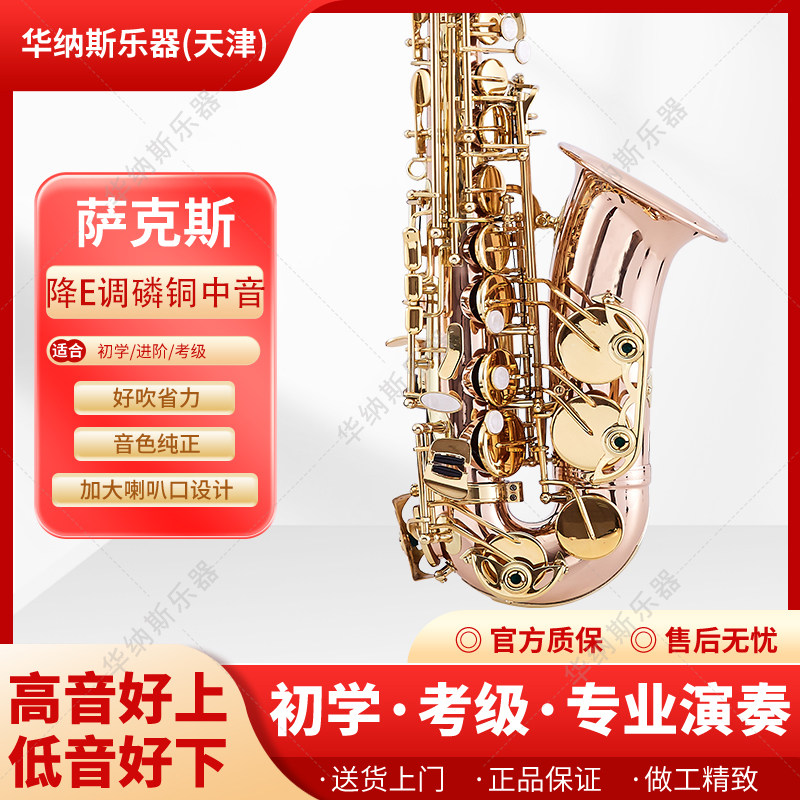 华纳斯磷铜材质降E调中音专业演奏款初学乐队通用支持以旧换新