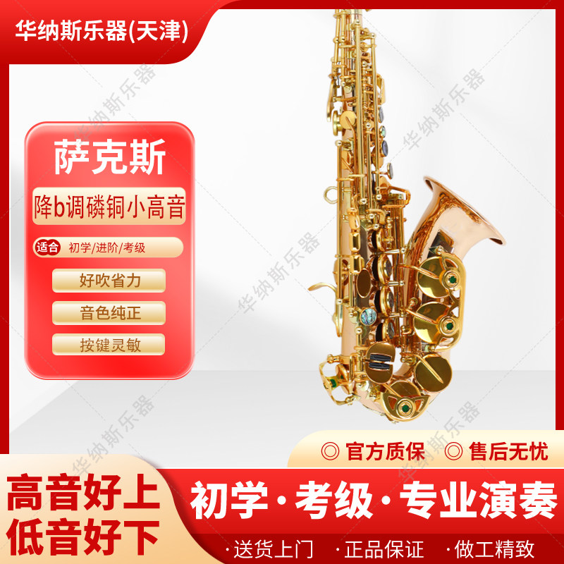 磷铜降b调小高音萨克斯儿童成人