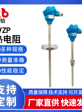WZP 法兰式热电阻铠装热电阻WZP-440热电阻传感器 防爆热电偶