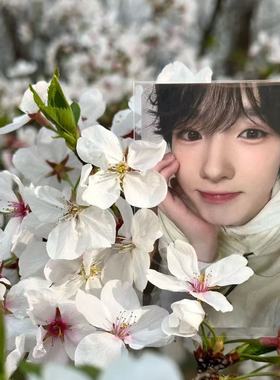 新款nct wish周边小卡sakuya小卡三寸小卡明信片ins自制周边小卡