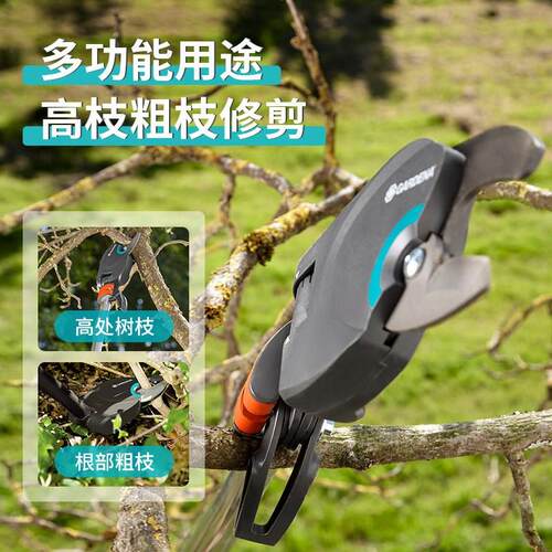 嘉丁拿德国进口可伸缩果树高空省力粗枝剪家用园艺树枝果树高枝剪