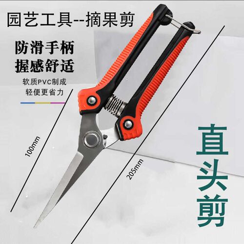 摘果剪花园果树专用园林修花剪修枝剪蔬果稀果剪子锋利剪刀农用