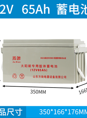 太阳能蓄电池家用100ah12v120AH大容量胶体路灯备用电源专用电瓶
