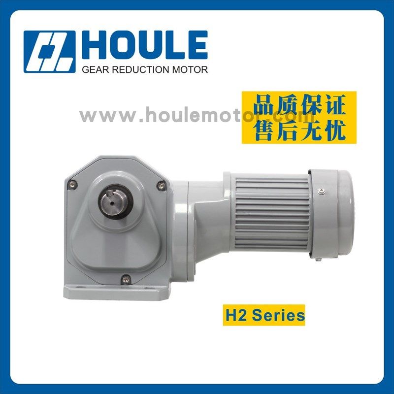 H2系列准双曲面双出轴减速电机交流220V200W 400W 750W可带刹车