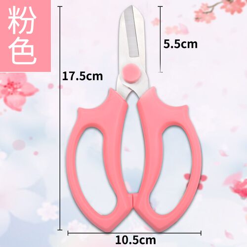 修花剪刀修枝剪家用修花剪刀修枝剪果树不锈钢园林花艺剪子