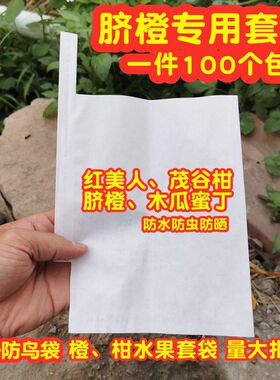 柑橘枇杷纸袋橘橙子不知火春见丑橘爱媛脐橙石榴红美人丑柑套袋