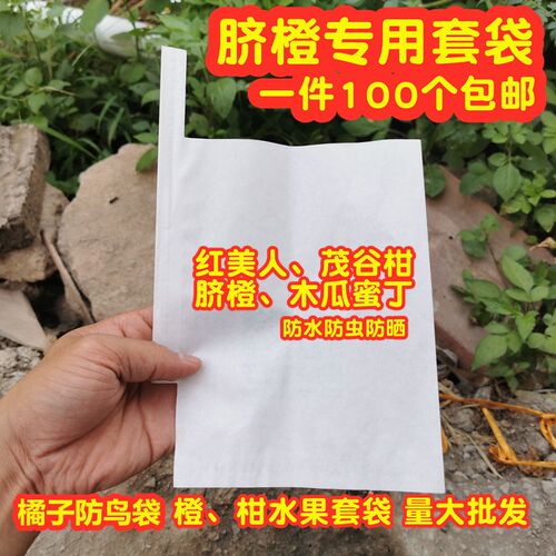 柑橘枇杷纸袋橘橙子不知火春见丑橘爱媛脐橙石榴红美人丑柑套袋