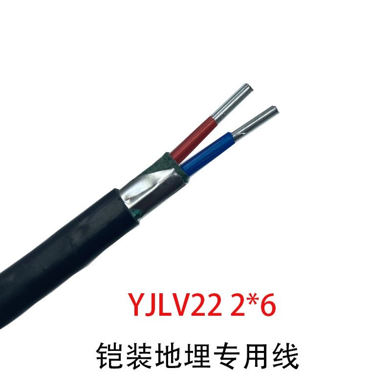 二芯室外电线国标电缆线架空线6 10 16 25 35 50平方国标家用电线,个性定制/设计服务/DIY,明信片定制,淘宝优惠券,粉丝福利购,淘宝优惠卷