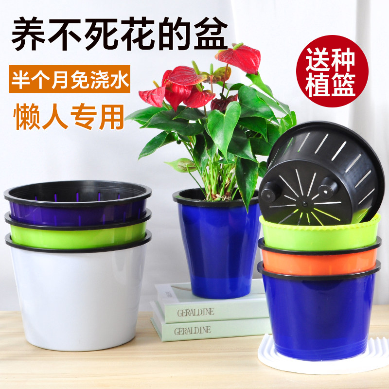 新款自动吸水免浇灌懒人塑料水培花盆