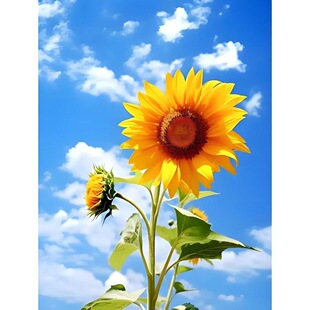 竖版向日葵风景自粘贴纸墙画客厅卧室背景墙蓝天白云海报装饰贴画