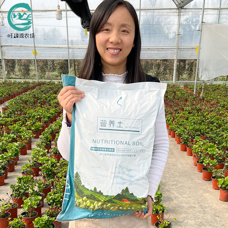 家庭园艺营养土育苗培育绣球菊多肉绿植花卉平衡土壤蔬菜通用土