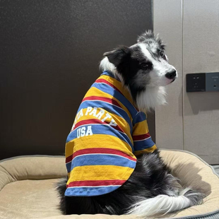 狗狗衣服夏季薄款条纹衫舒适透气防掉毛中型大型犬拉布拉多金毛