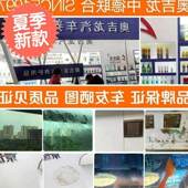 装 修地面门贴2印清除剂污渍粘胶去除剂擦窗户清洁门框不锈钢门