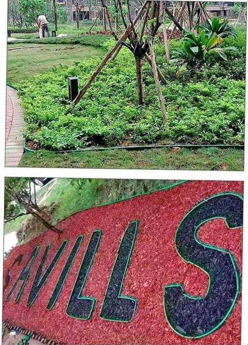 园林绿化草石隔离带草绿色圈围挡土石园艺树围挡板分隔阻隔挡水条