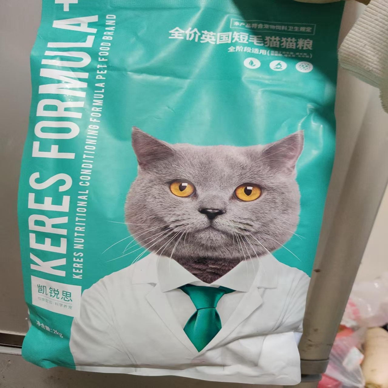 凯锐思英短猫粮专用蓝猫