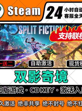 双影奇境 Split Fiction Steam激活码正版入库全dlc电脑双人游戏