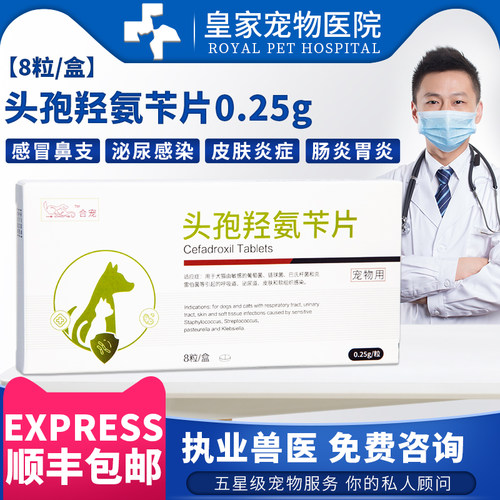 欣炎宁头孢羟氨苄宠物犬猫消炎药