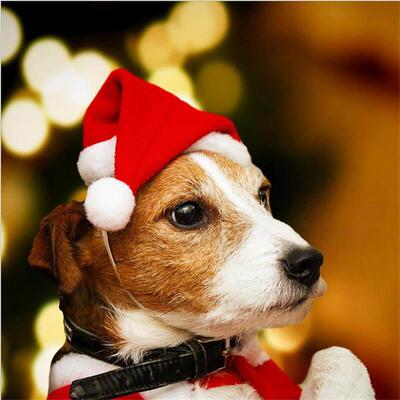 Plush Pet Christmas Hat, Festive Dog Costume for Holiday圣诞
