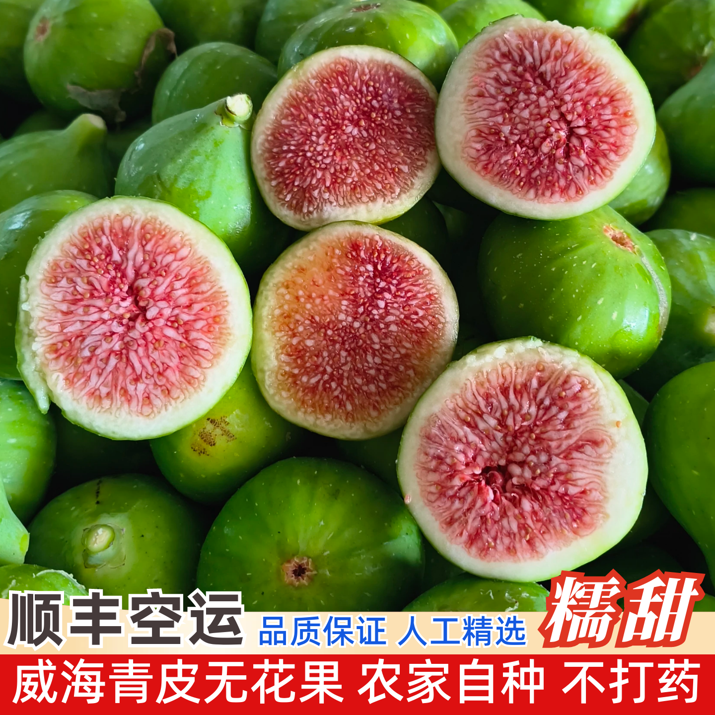 山东威海青皮无花果现摘山东当季新鲜孕妇水果绿皮糖包子顺丰包邮